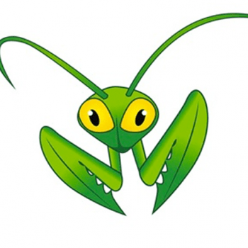Mantis image